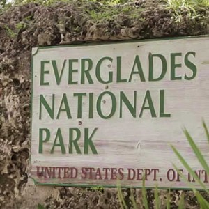 holidays in usa florida everglades national park 1