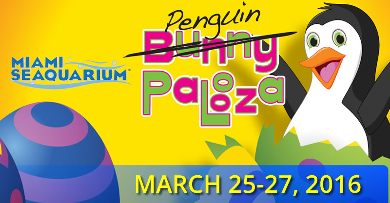 news usa miami theme parks miami seaquarium easter penguin palooza2016