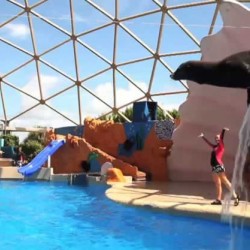 holidays in usa miami theme park seaquarium 9