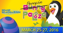 Miami Seaquarium goes PenguinPalooza on Easter (Mar 25 - 27)
